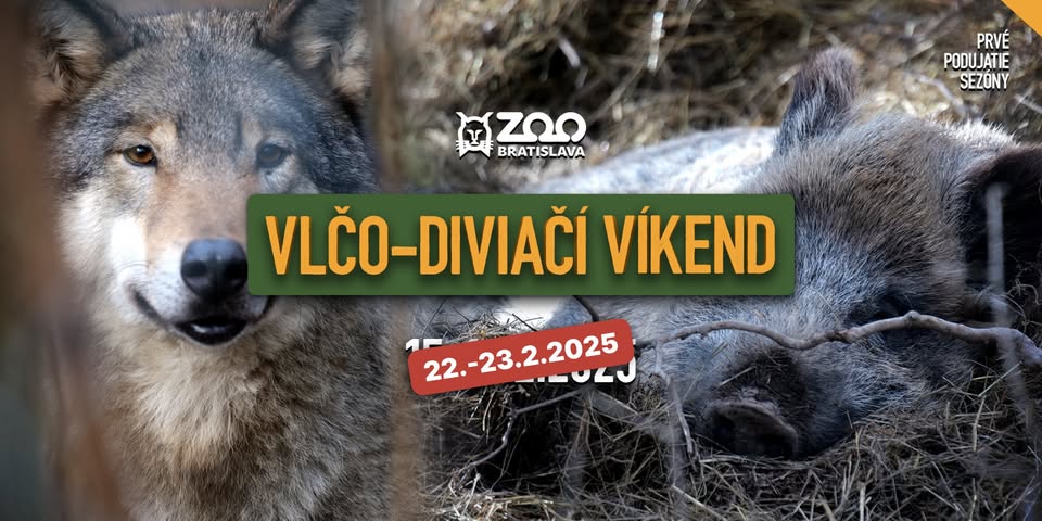 Vlčo-diviačí víkend v ZOO Bratislava