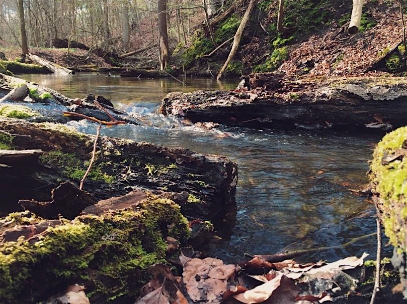 Biesenthaler Becken: Easy Hike through glacial lands carved in Ice Age