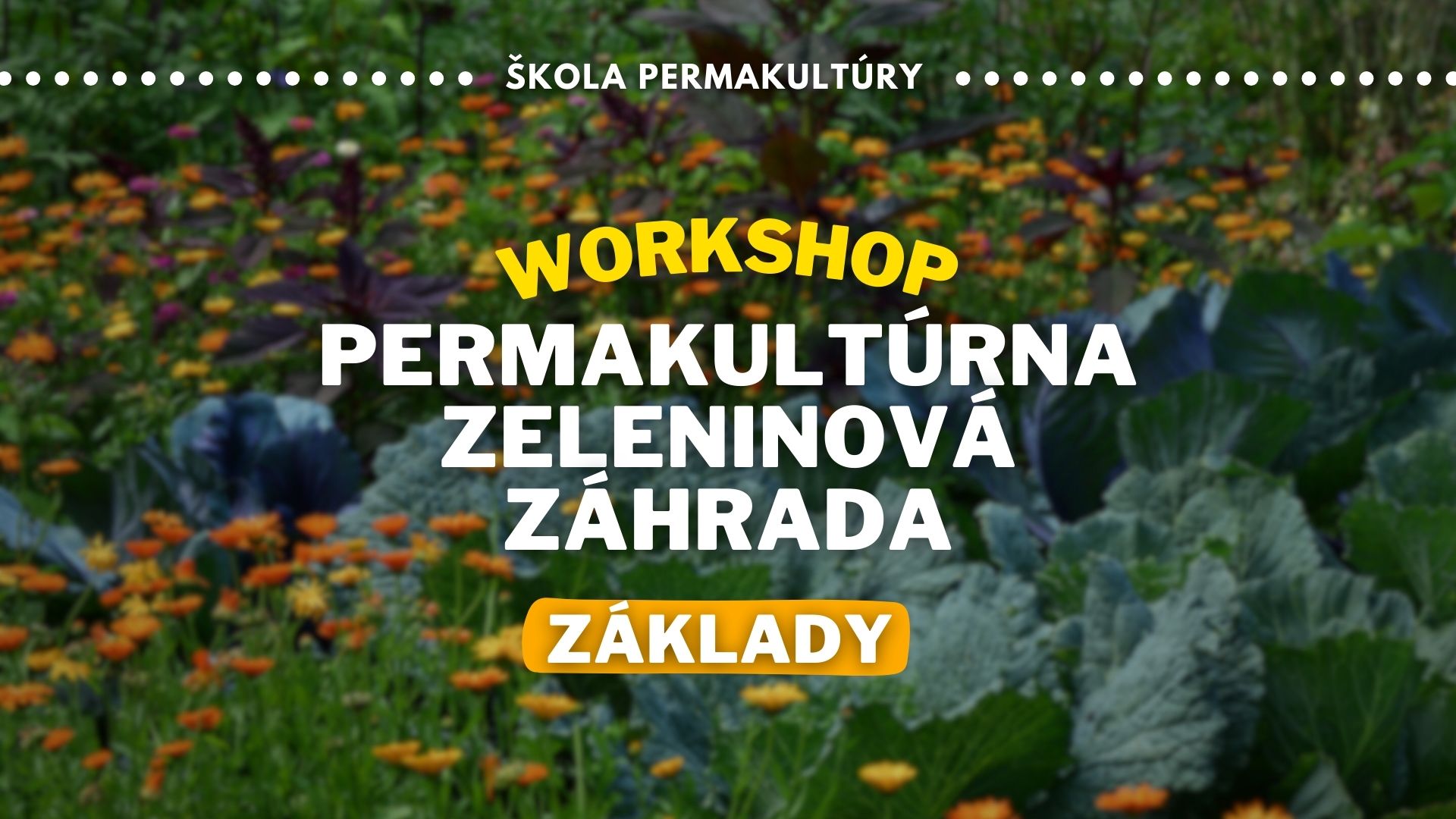 Workshop: Základy permakultúrnej zeleninovej záhrady