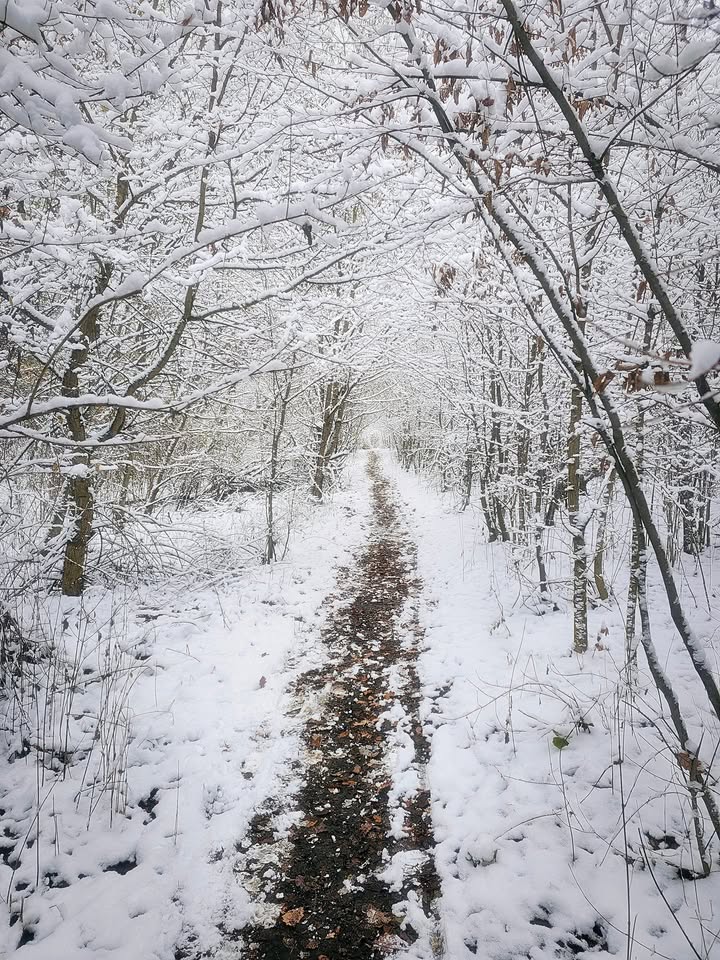 Adventní vycházka z Kolína do Poděbrad