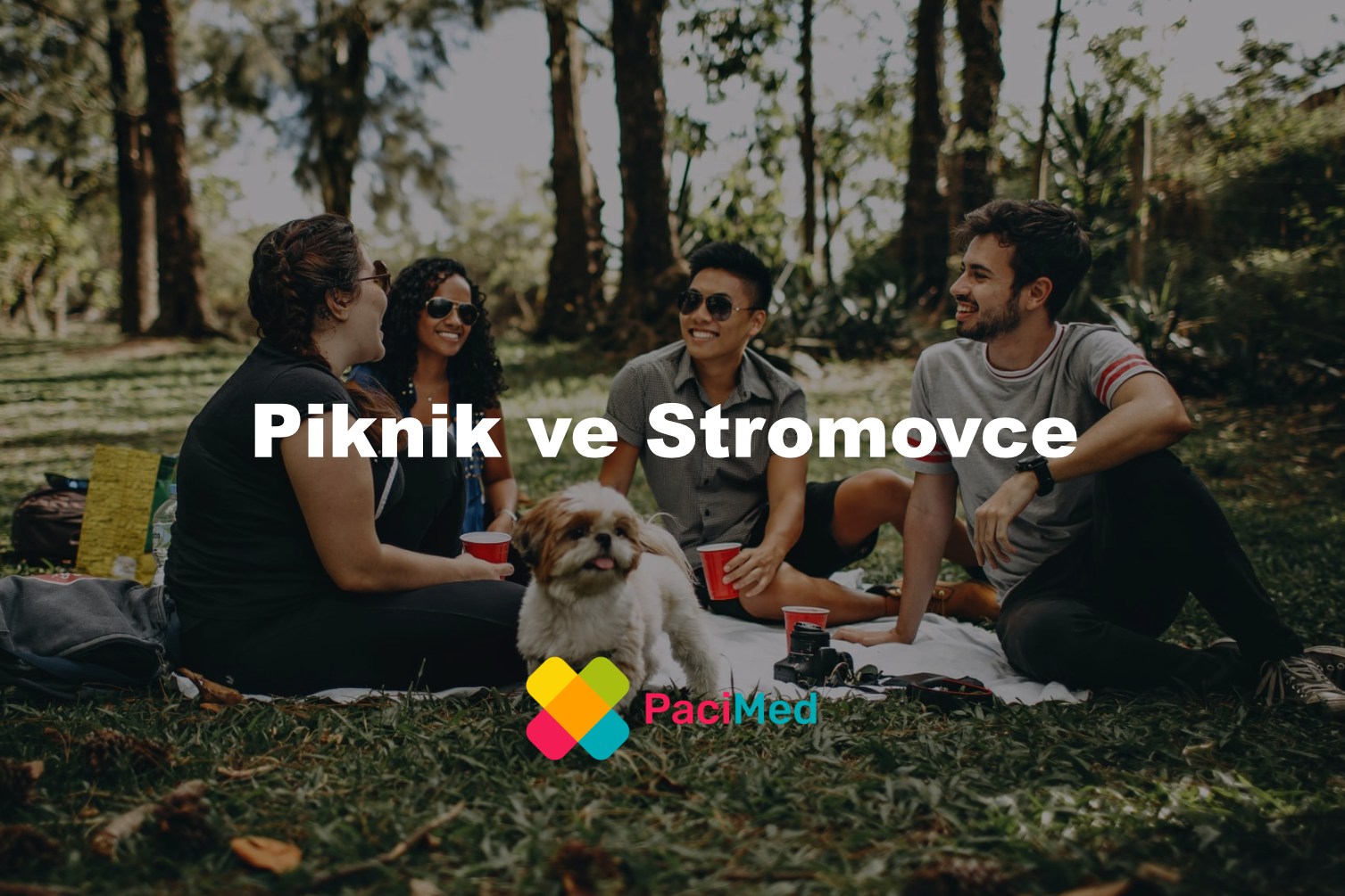 Piknik ve Stromovce