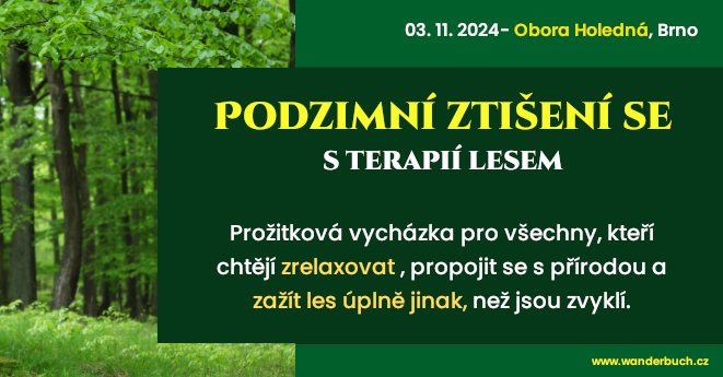 Prožitková vycházka s Terapií Lesem