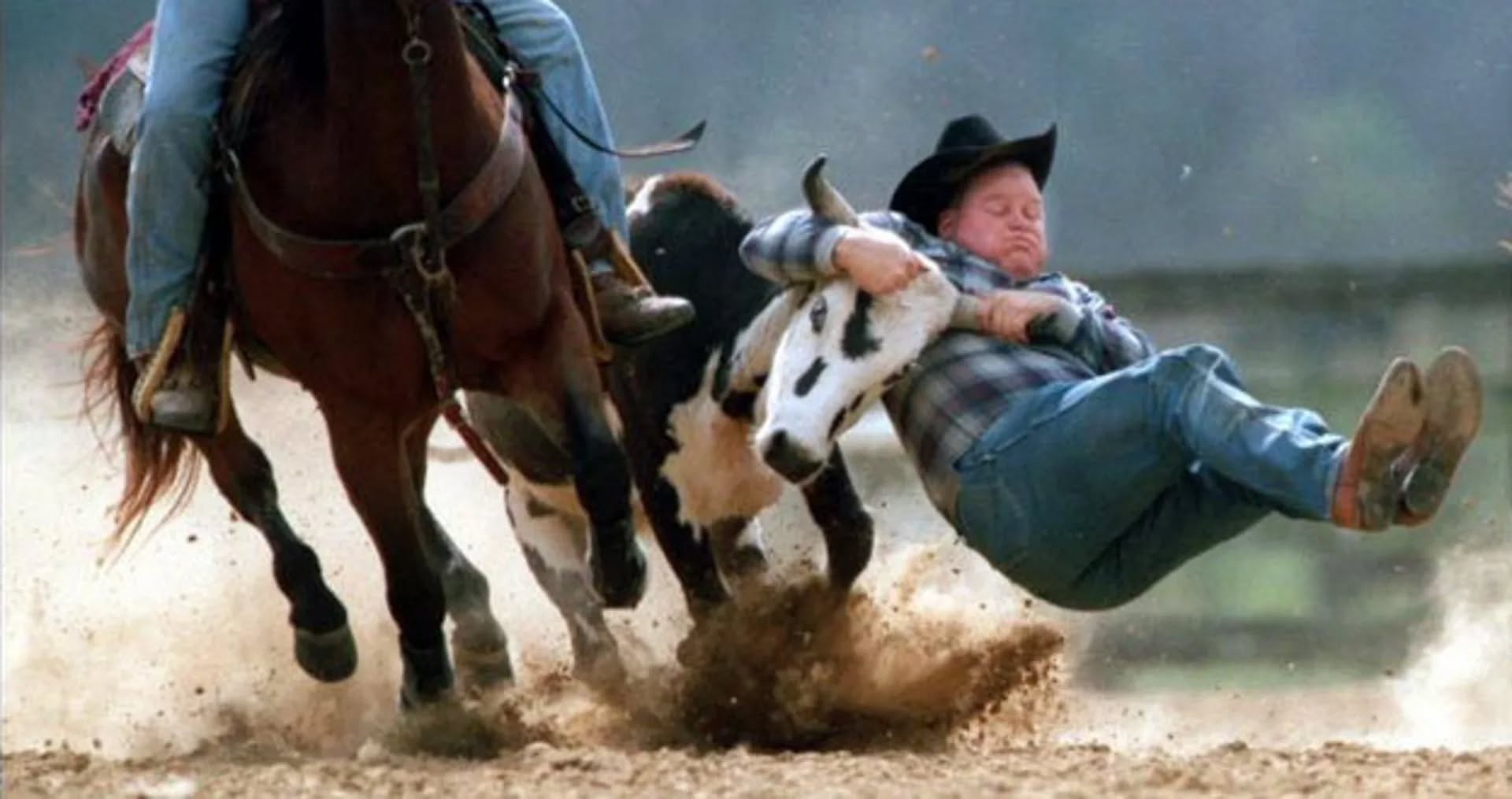 Protest the Rodeo Day 2