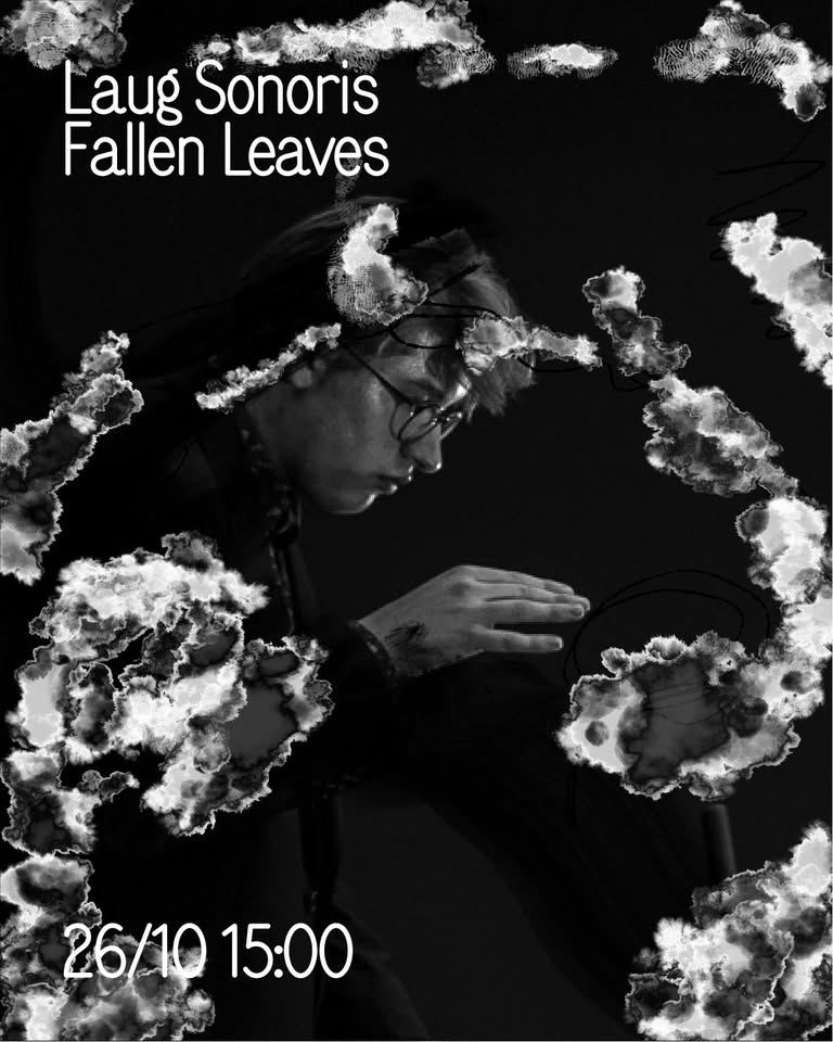 laug.sonoris : fallen.leaves