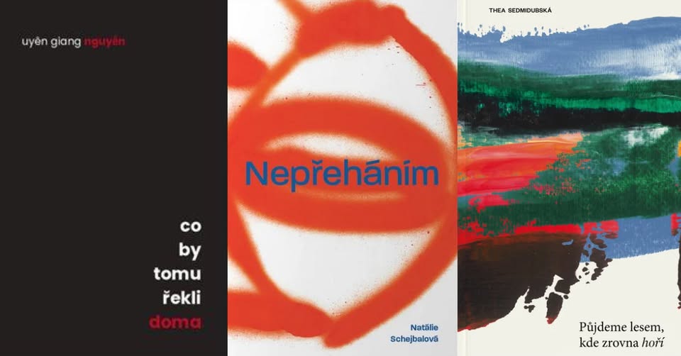 HYB4 Čítárna: Mezi poezií a poezií: od slamových exhibic k vlastní sbírce
