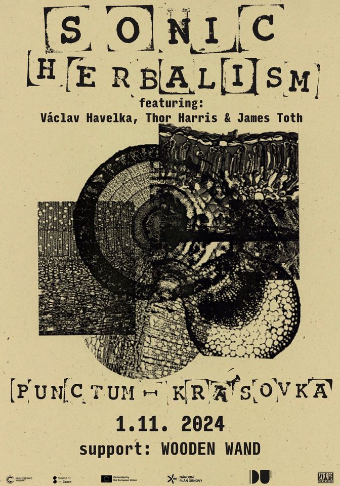 Sonic Herbalism (feat. Václav Havelka, Thor Harris, James Toth) live at Punctum - Krásovka