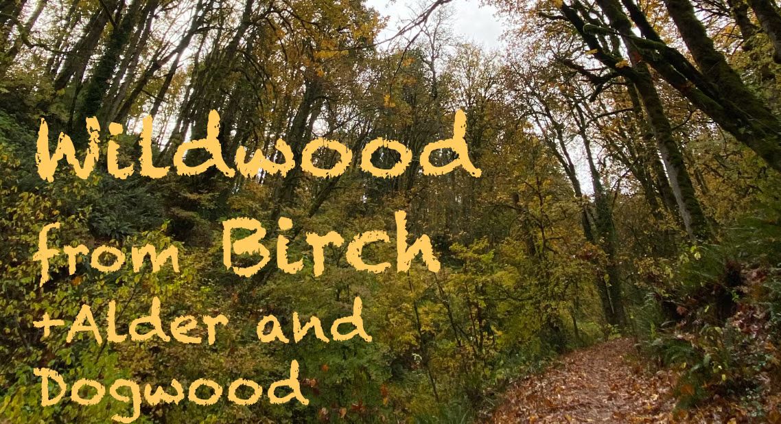 Wildwood from Birch - Community-led Trail Run