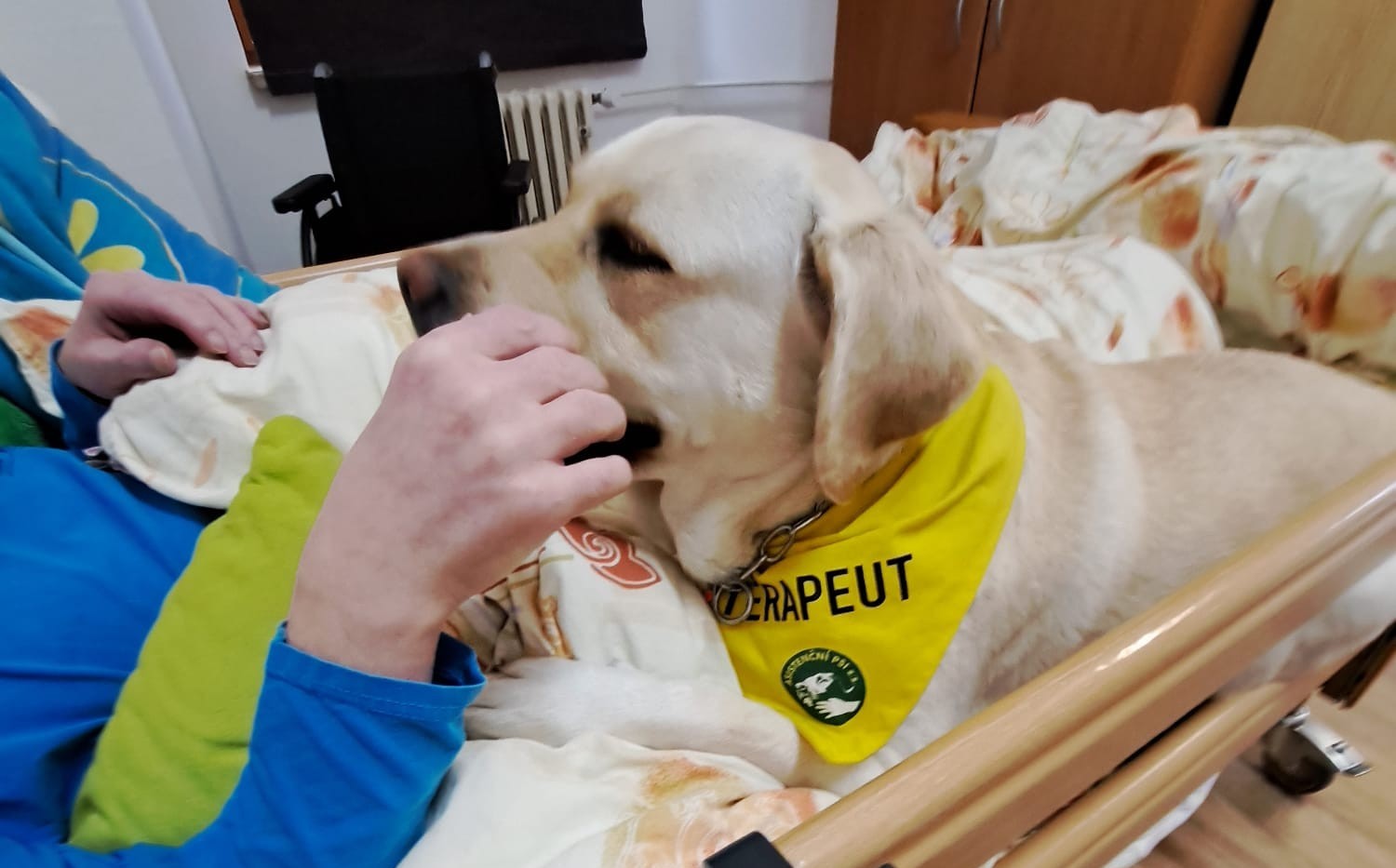 Zkoušky terapeutických psů