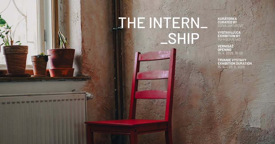 Yu-Hsuan Yao: The Internship