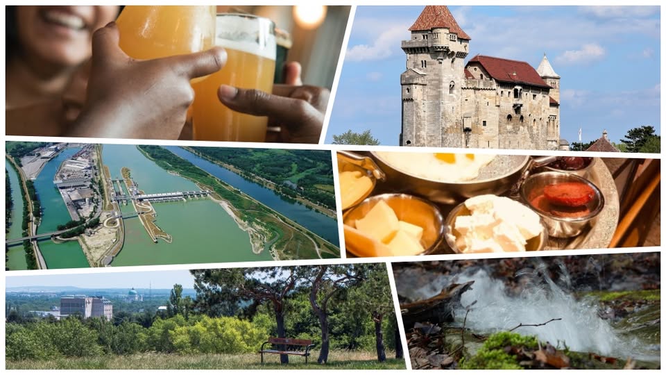 Weekend Activities around Vienna