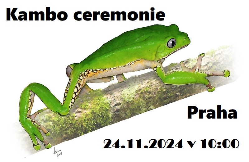 Kambo ceremonie Praha 24.11.2024