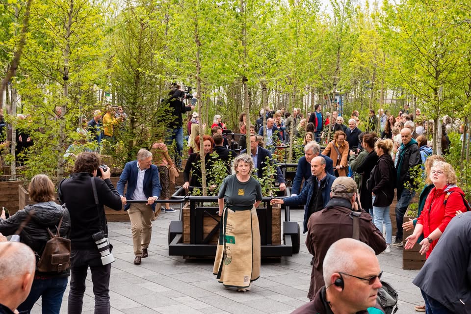 Film Vertoning: The Walking Forest & Presentatie Circle4Change