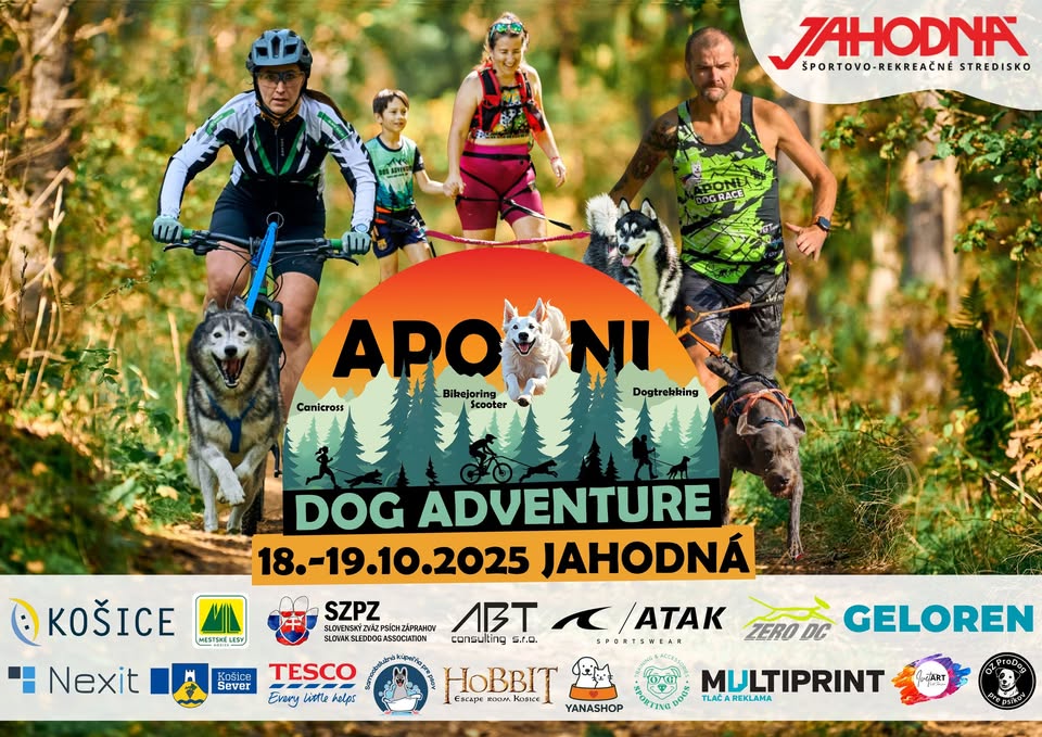 APONI DOG ADVENTURE