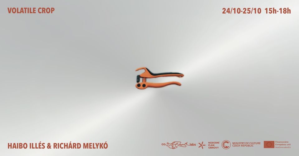 Volatile Crop | Haibo Illés and Richárd Melykó