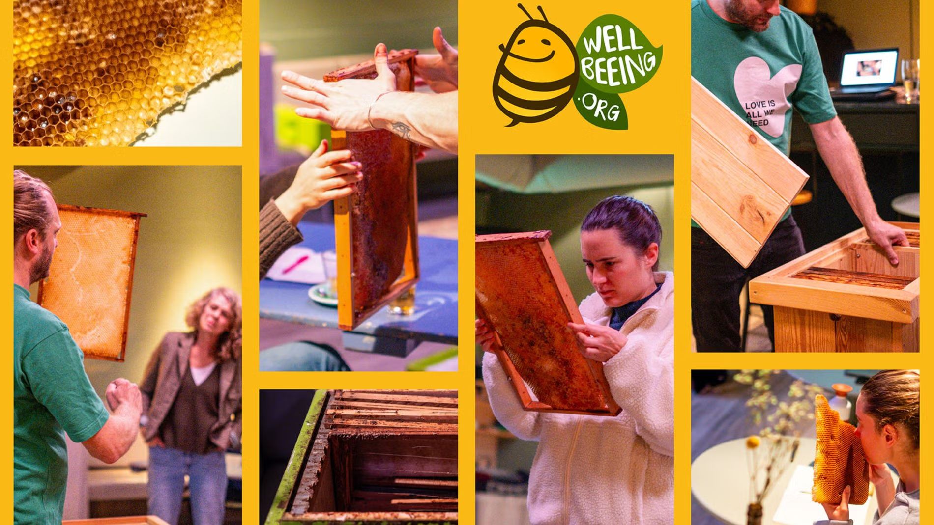 Pollinators, Honey, Bees, Bugs : Discover a New World and What’s Essential