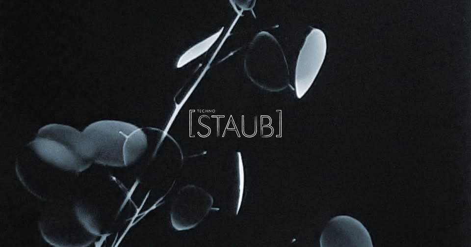 STAUB