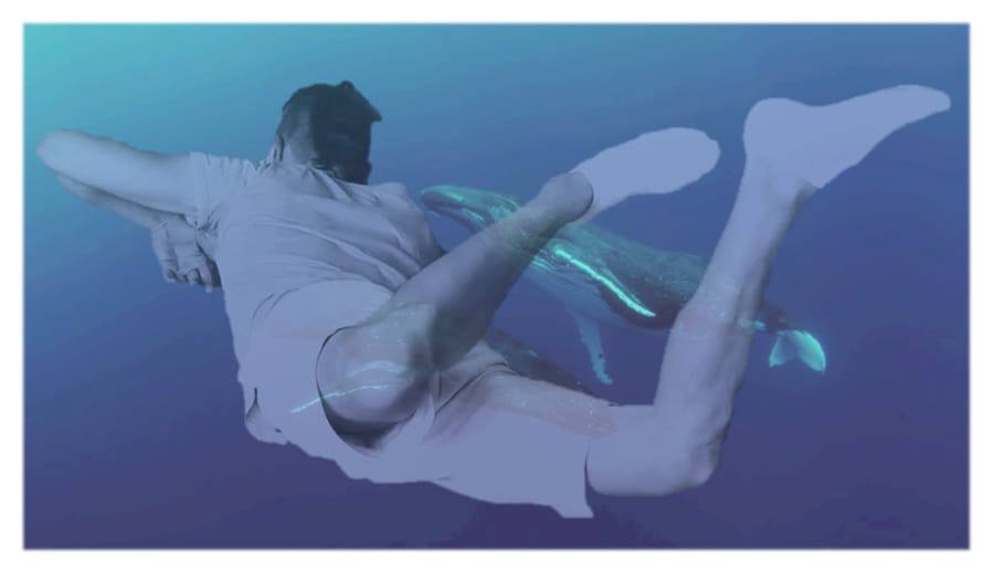Continuum Movement® SRDCE a BRUCHO