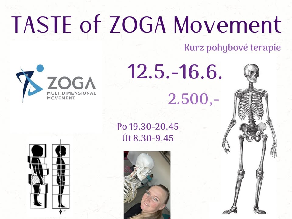 TASTE of ZOGA MOVEMENT Kurz 1.