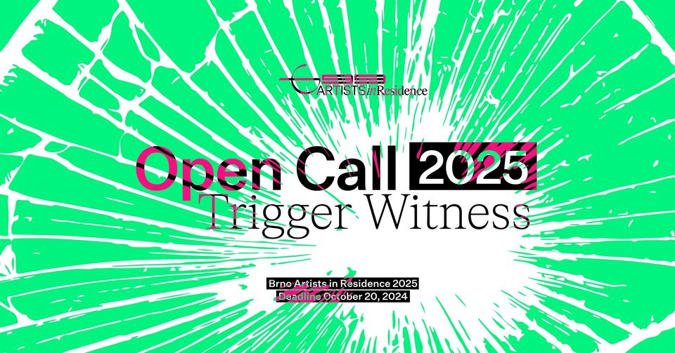 Open Call BAiR 2025: Trigger Witness