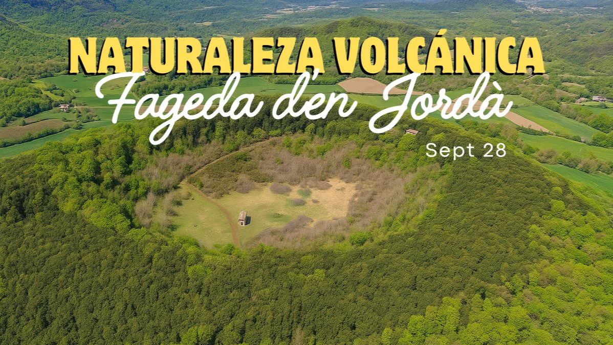 🌳 Fageda d’en Jordà: Naturaleza Volcánica y Bosque de Leyenda 🌋