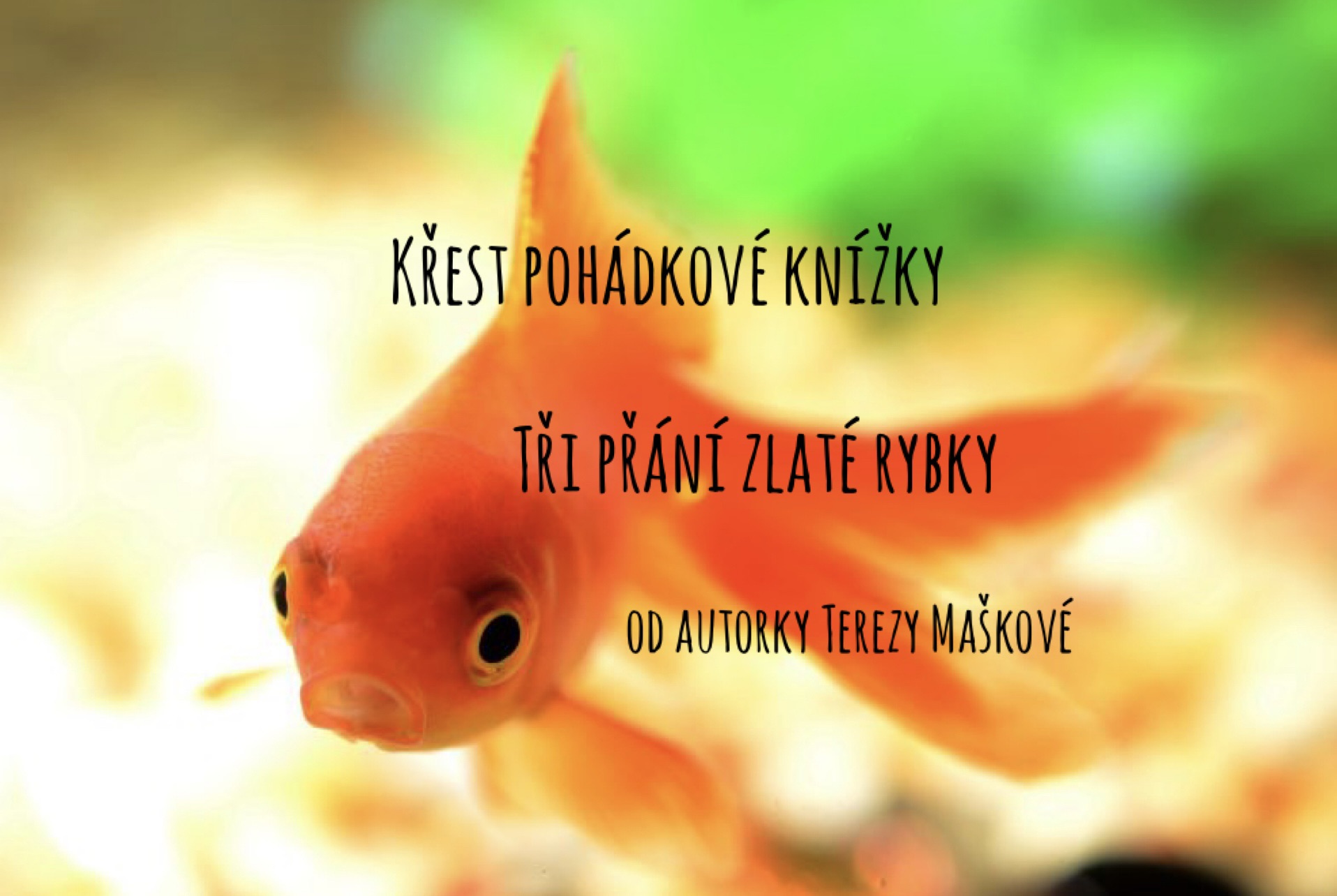 Slavnostní křest edukativní pohádkové knihy