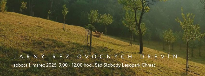 Jarný rez ovocných drevín