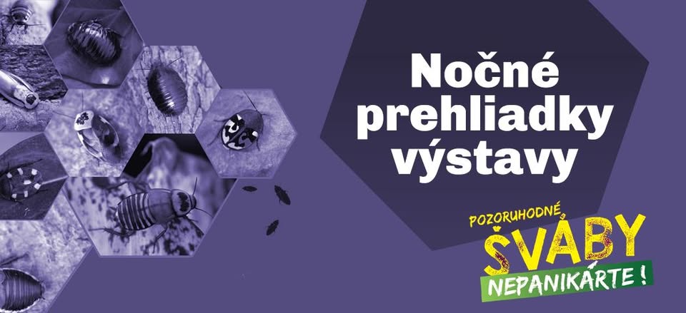 vypredané 🔸 Nočná prehliadka - Pozoruhodné šváby, nepanikárte!