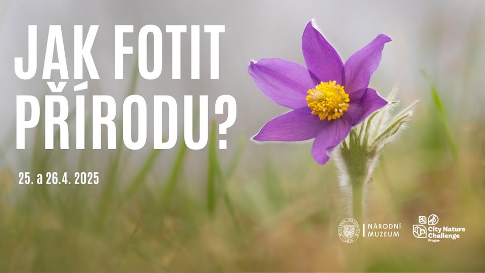 Kurz fotografování divoké přírody