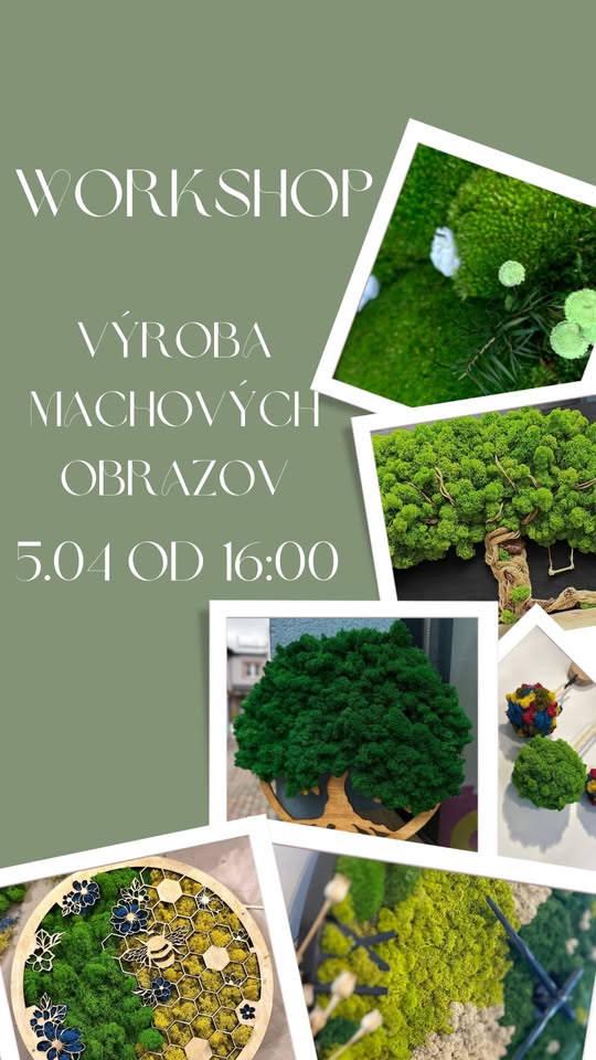 Výroba machových obrazov