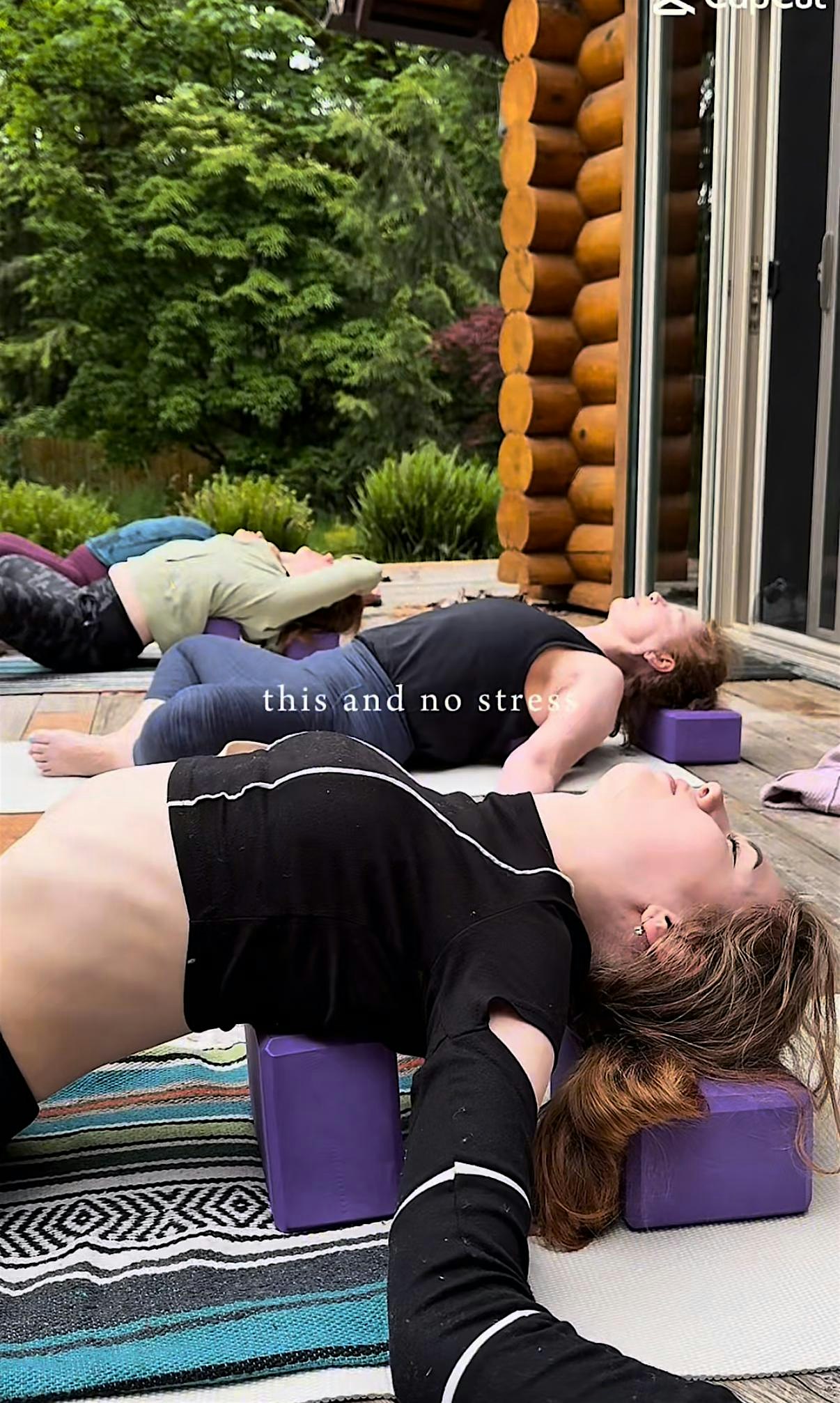 Vinyasa+ Holistic Yoga Movement