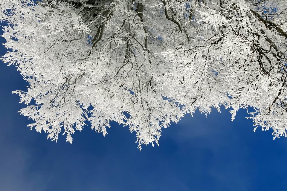 New Year’s Wellness Immersion ~ Day Retreat w/ Sarah Rayne + Dr. Kat