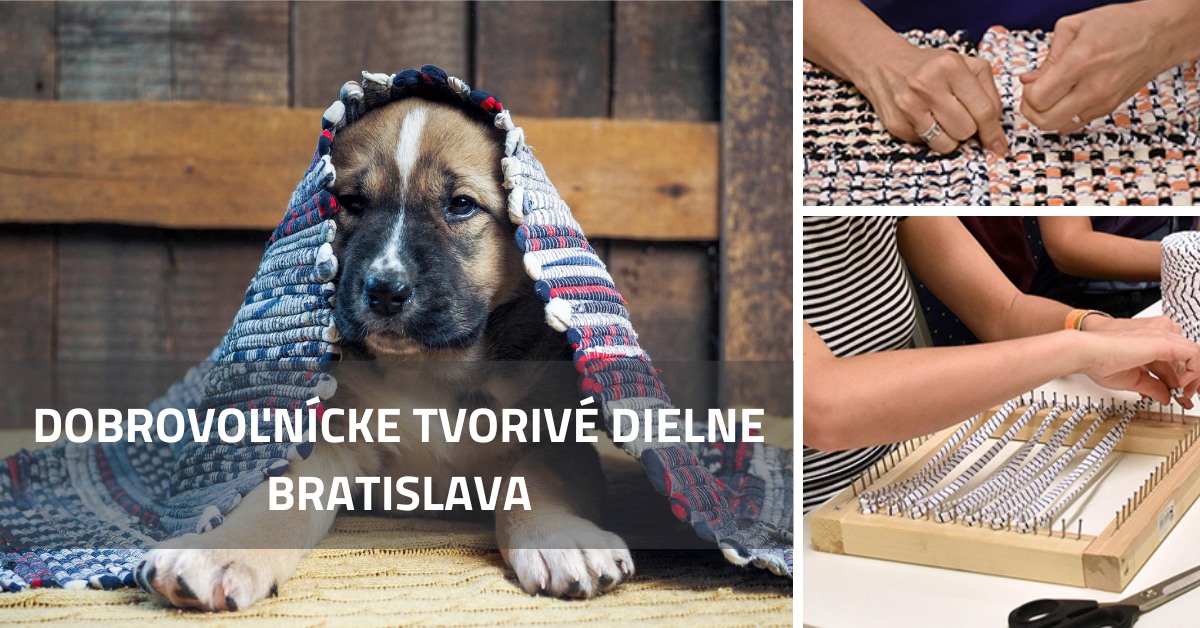 • Bratislava • DOBROVOĽNÍCKE TVORIVÉ DIELNE / 21. 5. 2025