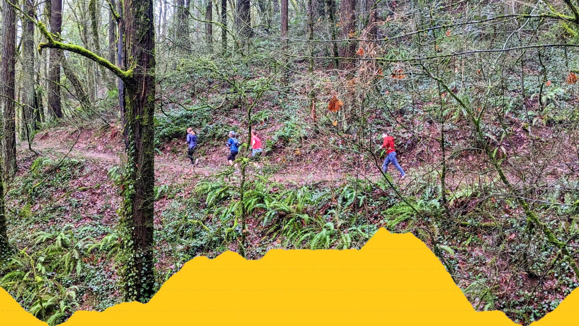 FOOD DRIVE NOV + UPPER MacLeay Park to Wild Cherry (Trail Run in Forest Park)