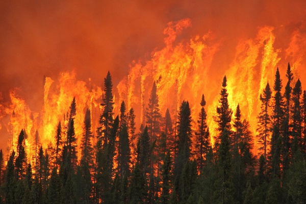Burning Pub at Bunk