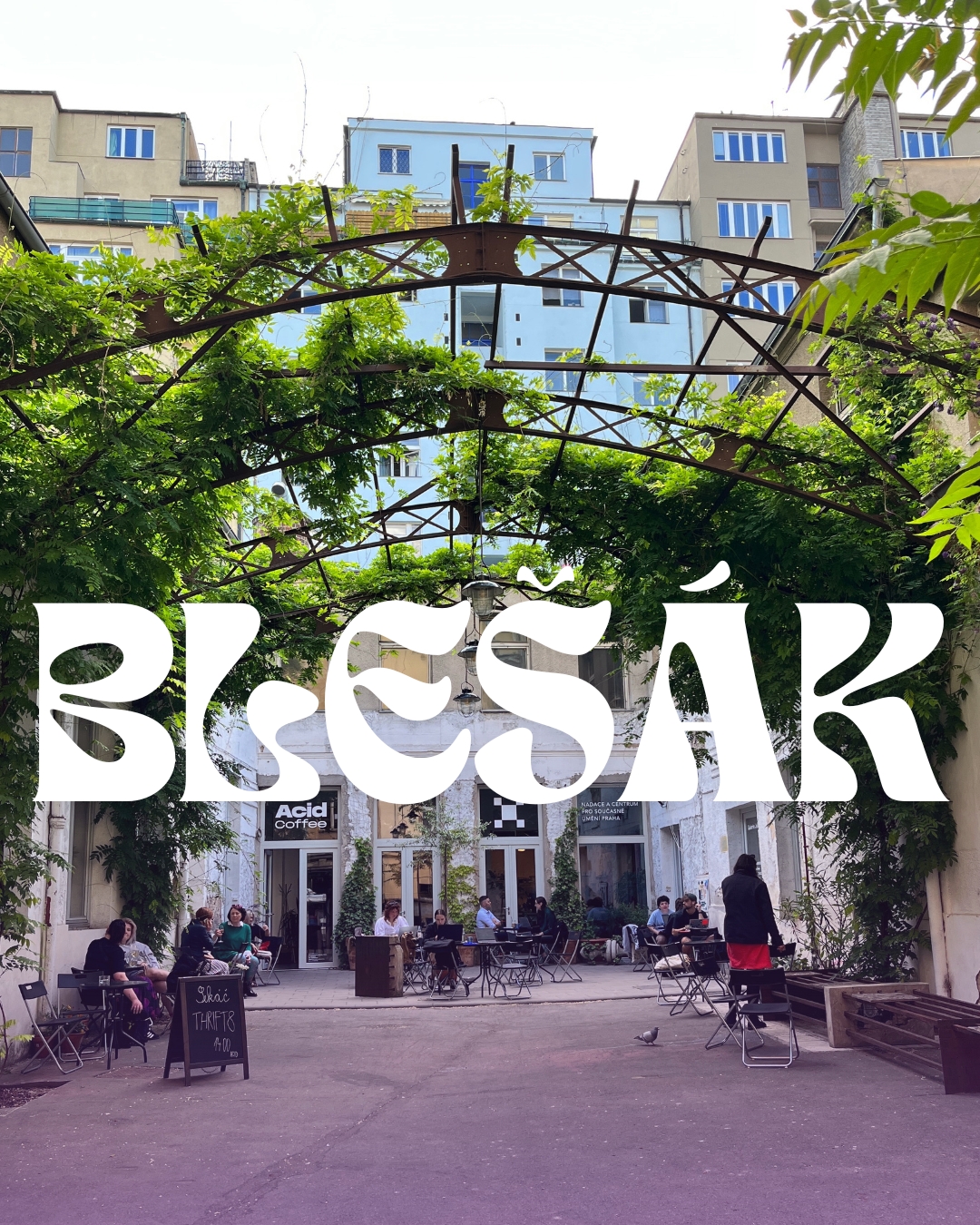 Blešák v Acidu: přežít leden ve stylu