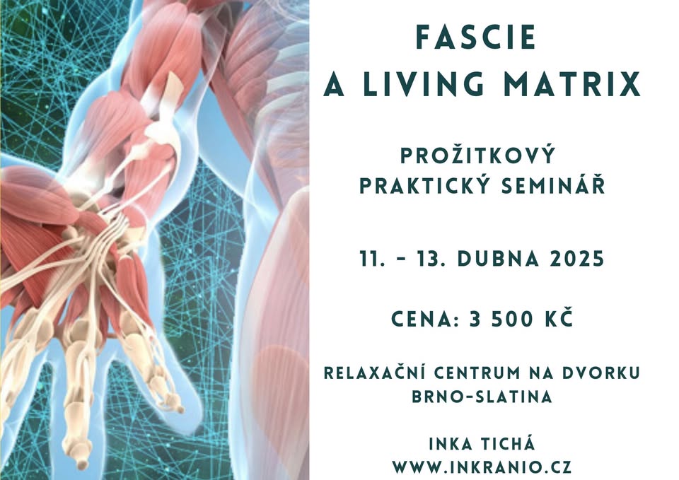 Fascie a living matrix