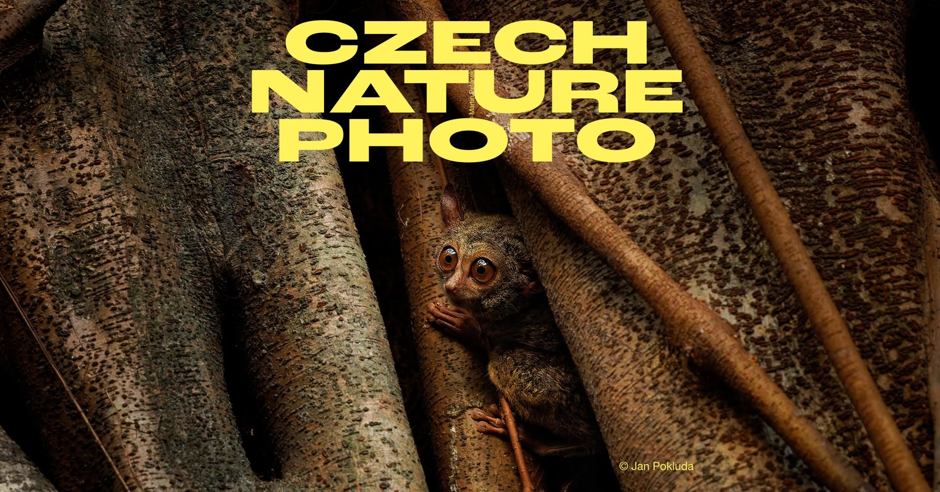 VÝSTAVA CZECH NATURE PHOTO