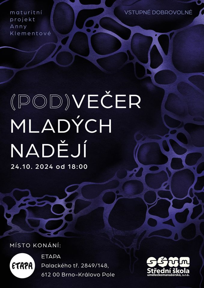 PODVEČER MLADÝCH NADĚJÍ