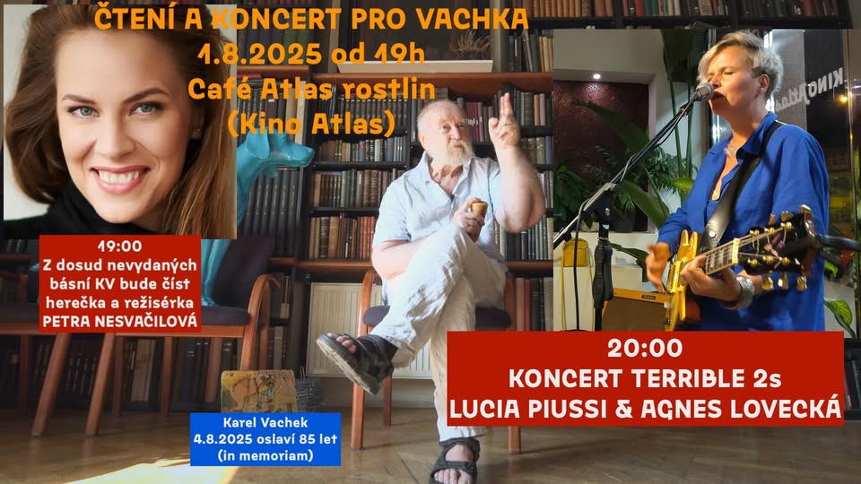 Koncert Terrible 2s a čtení básní Karla Vachka