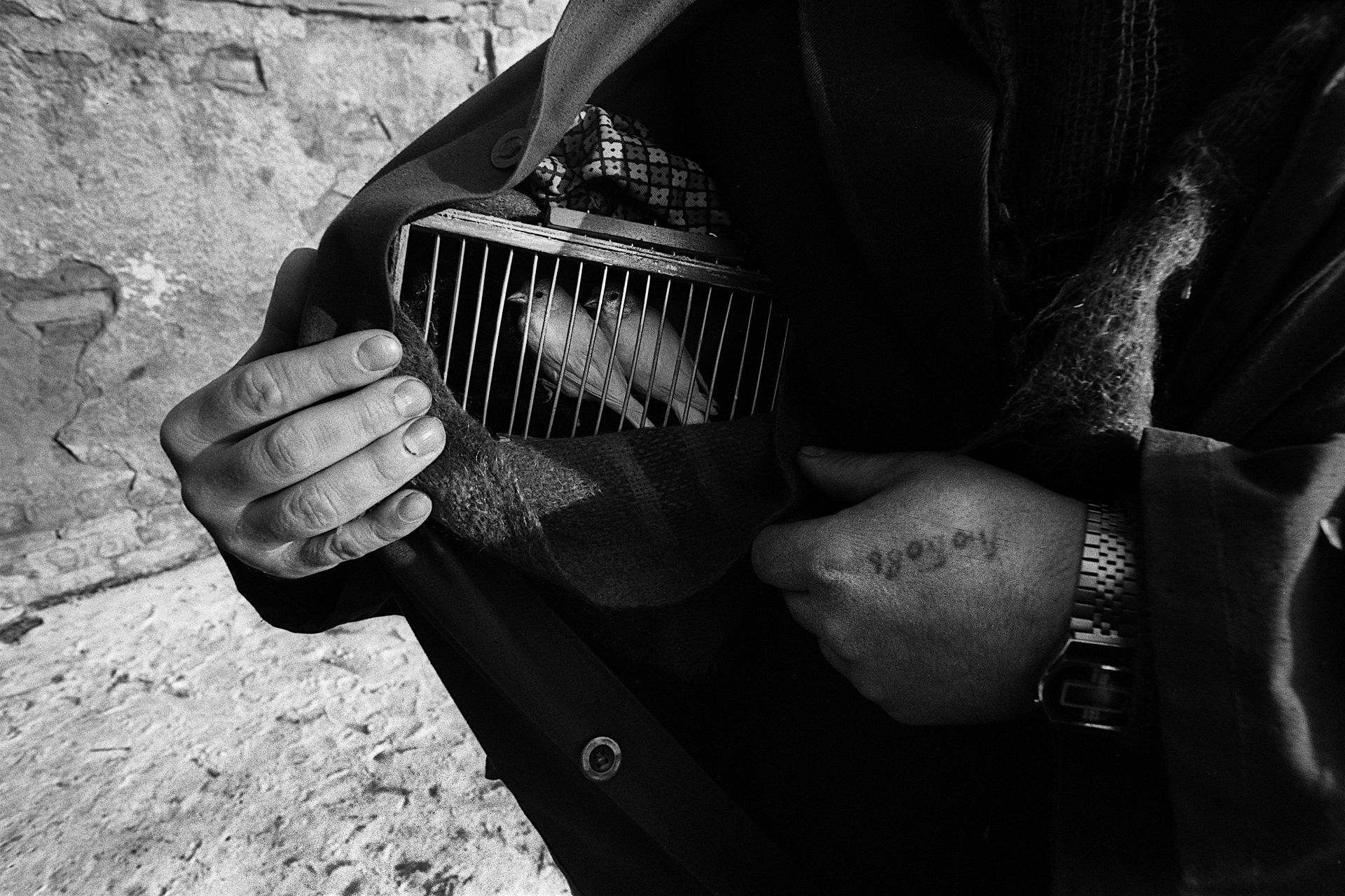 Exhibition opening: Intuere by Dmitry Vyshemirsky
