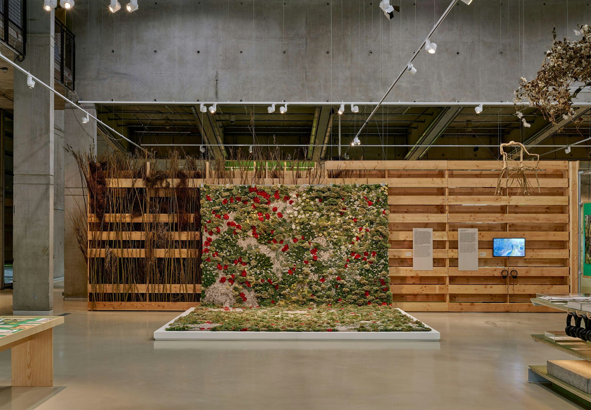 Regenerative Curating: Expert Meeting