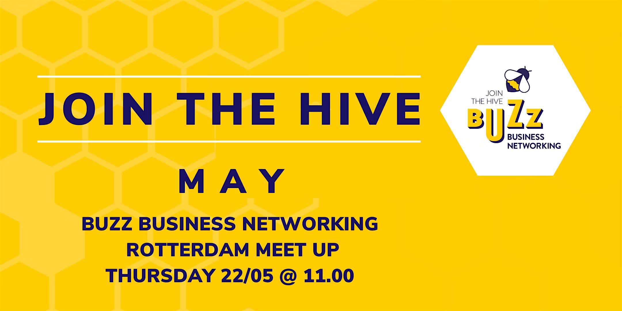 May 2025 Buzz Business Networking Meet Up – Rotterdam