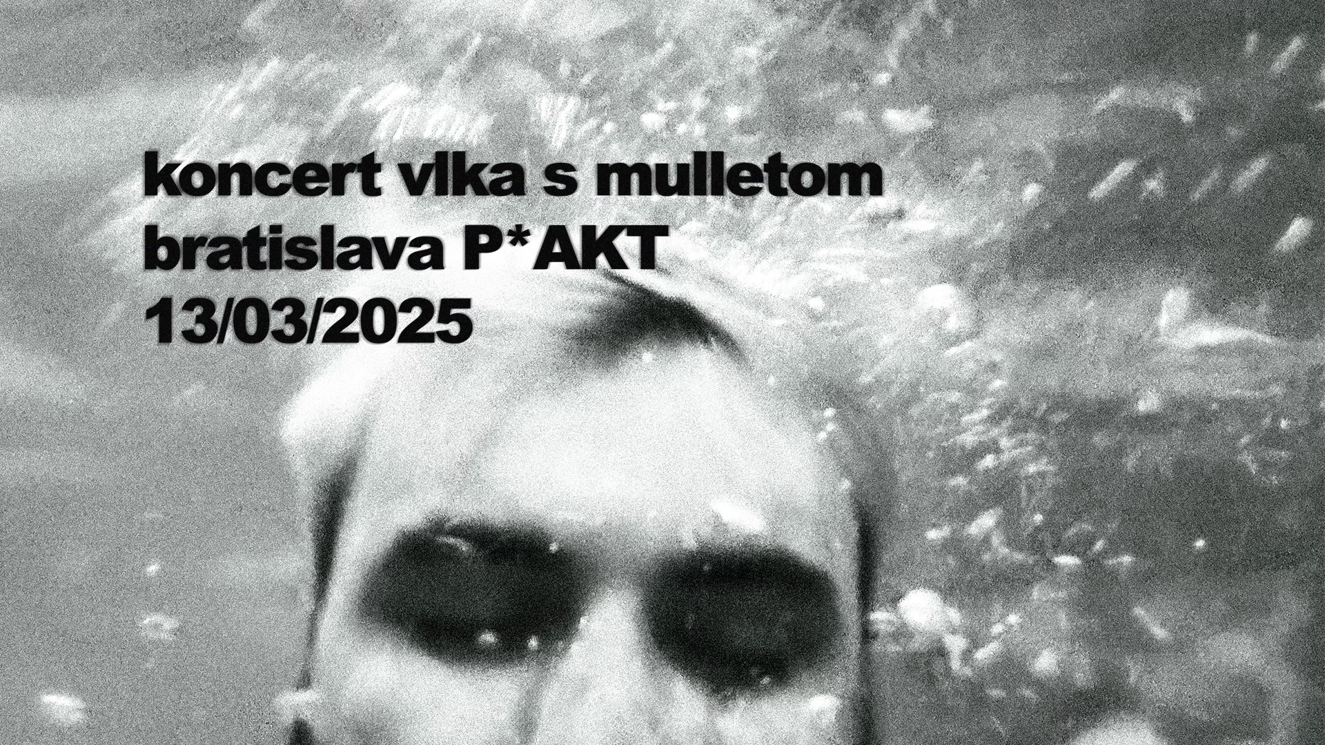 🚨 VYPREDANÉ 🚨 koncert vlka s mulletom @ P*AKT