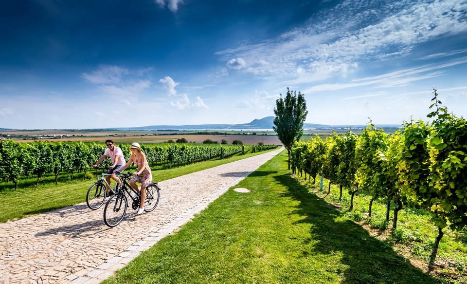 cycling from Brno to Pálava