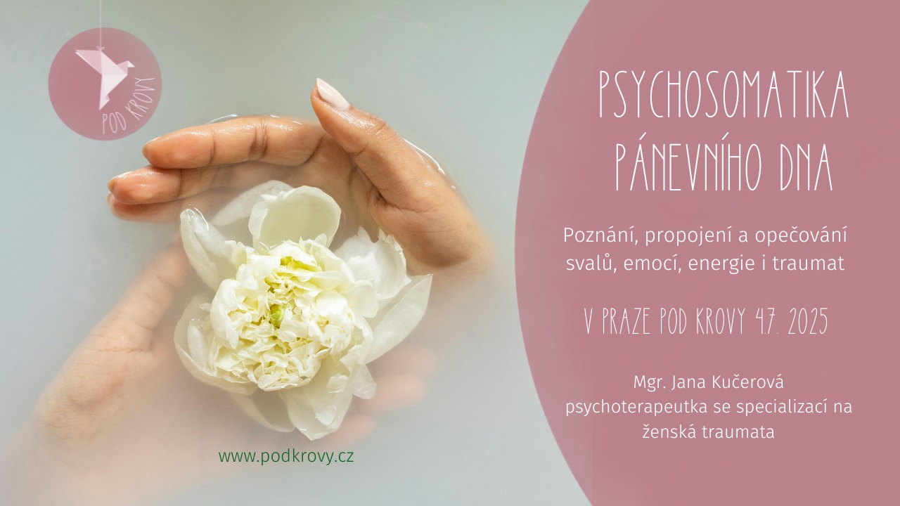 Psychosomatika pánevního dna - celodenní workshop
