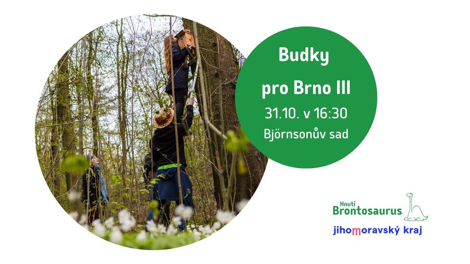 Budky pro Brno III