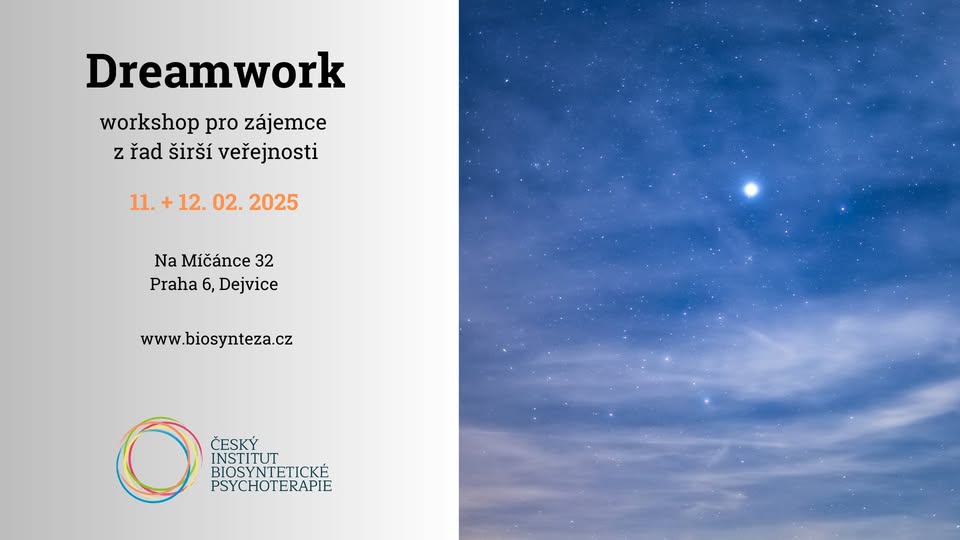 DREAMWORK - PRÁCE SE SNY
