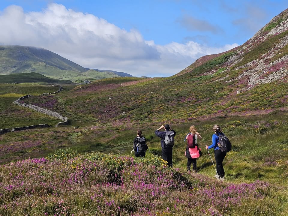 Aug.22-25 BH in Snowdonia Wales: Snowdon, Cadair Idris, Rhinog Nature Reserve