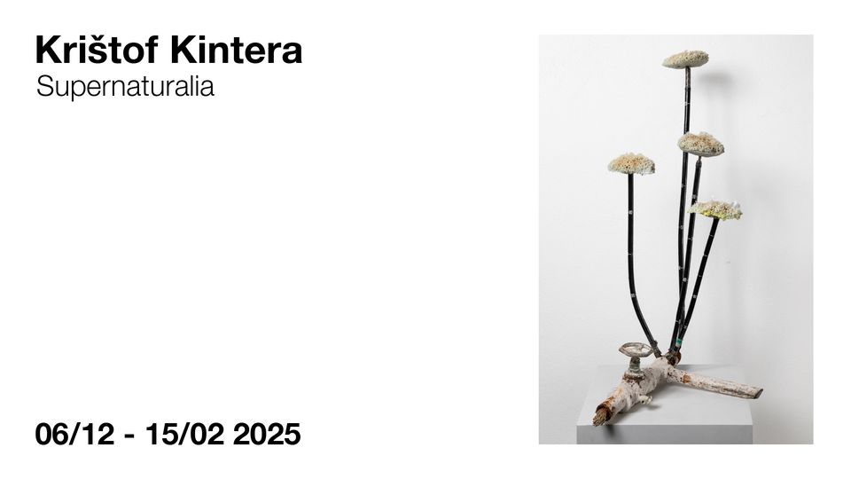 Supernaturalia / Krištof Kintera