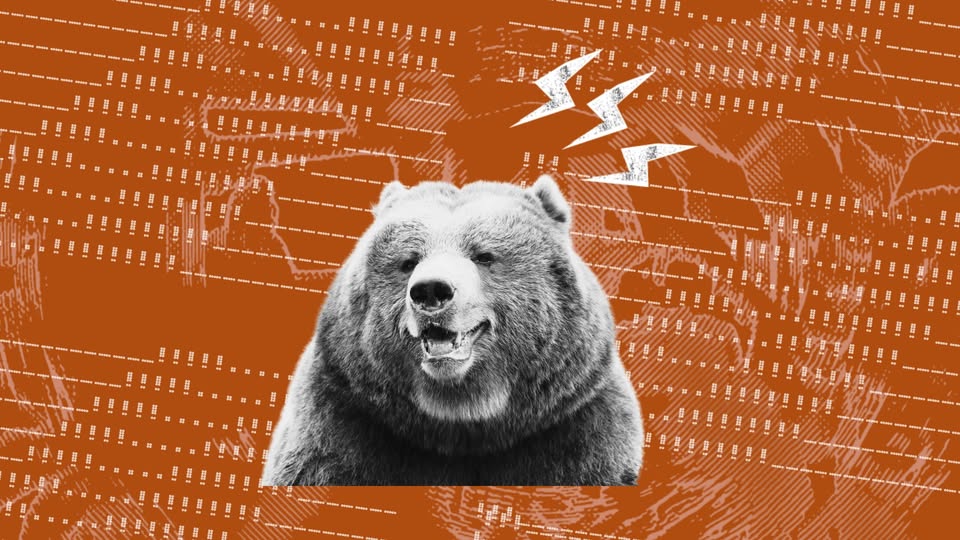 Moderovaná diskusia: O medveďoch a ľuďoch aneb všetko, čo chcete vedieť o medveďoch